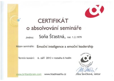 Emocni-inteligence-a-leadership